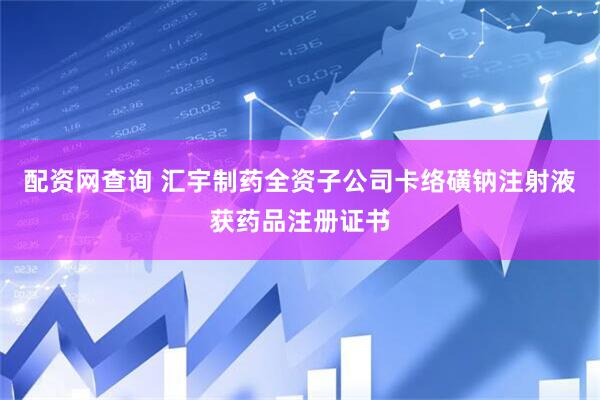 配资网查询 汇宇制药全资子公司卡络磺钠注射液获药品注册证书