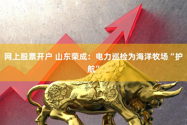 网上股票开户 山东荣成：电力巡检为海洋牧场“护航”